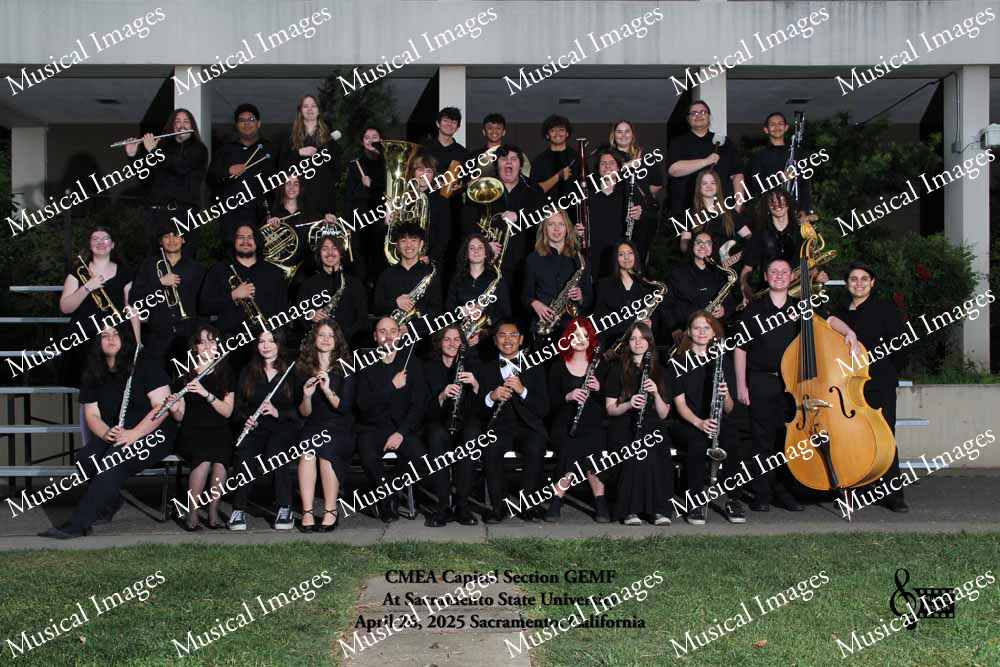 Musical Images
